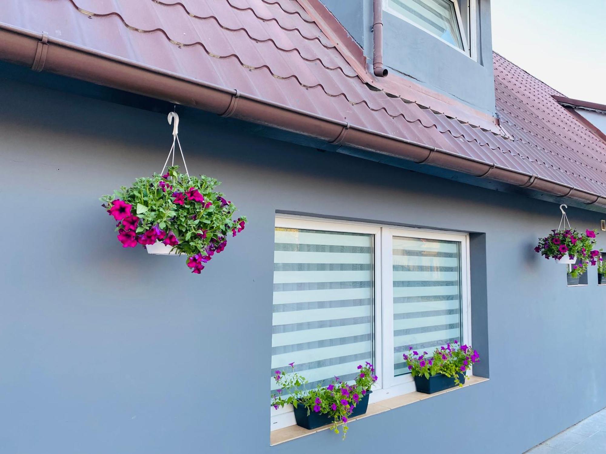 Apartamenty Pod Wieza 1 Olsztynek Exteriör bild